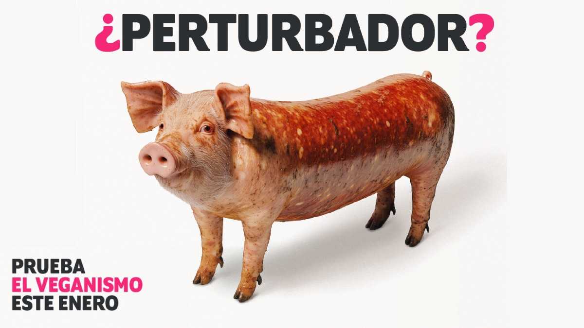 archivo infogate web-5-2-34-71