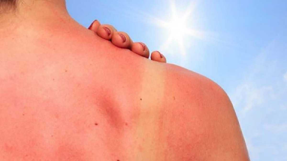 archivo infogate web-5-2-34-8