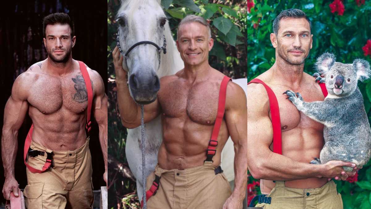 archivo infogate web-5-2-34-84