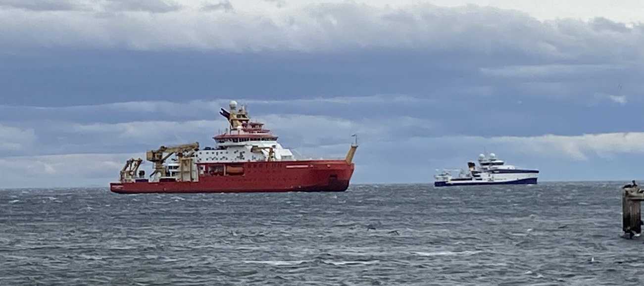 RH David Attenborough a la gira en Punta Arenas enero 2025