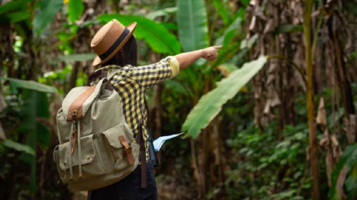 archivo infogate web-5-2-34-46