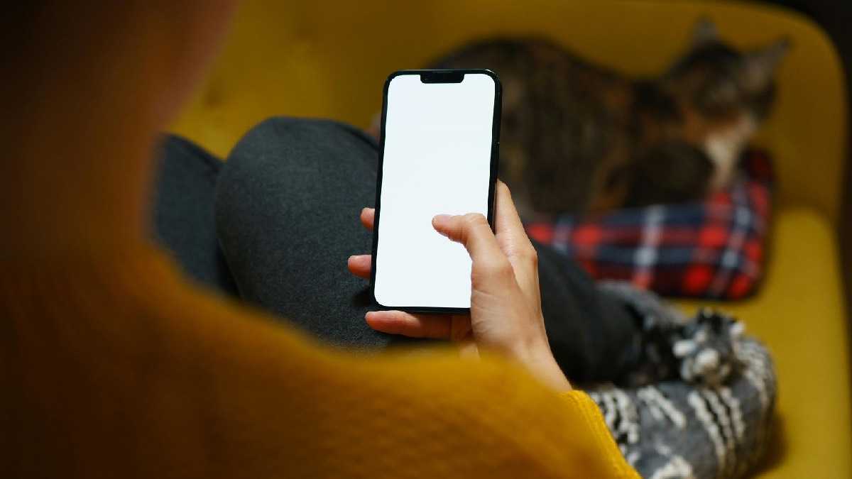 archivo infogate web-5-2-34-47