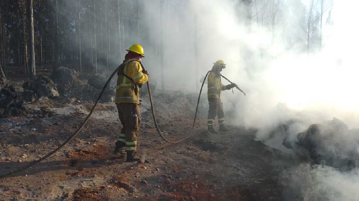 archivo infogate web-5-2-34-49