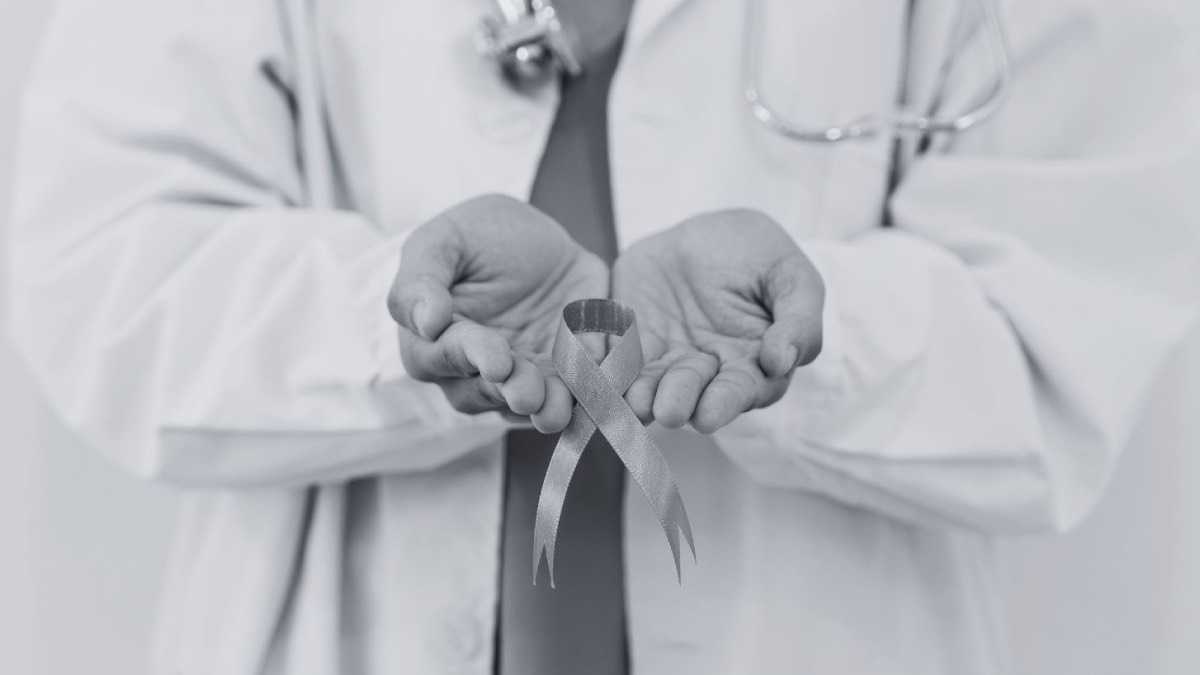 archivo infogate web-5-2-34-55