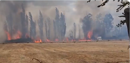 incendio chillan