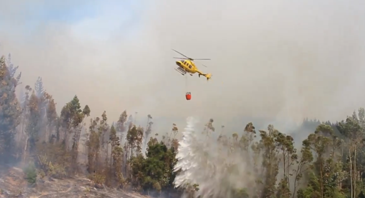 Opera Captura de pantalla_2025-02-10_124841_x.com