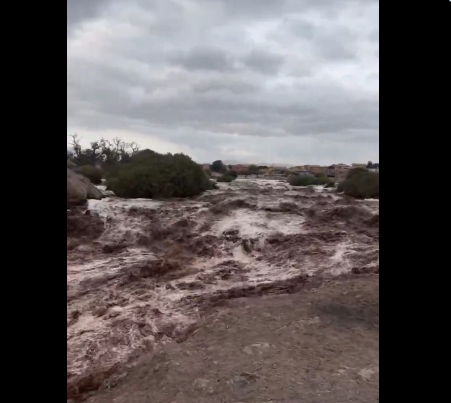 Opera Captura de pantalla_2025-02-15_141329_x.com