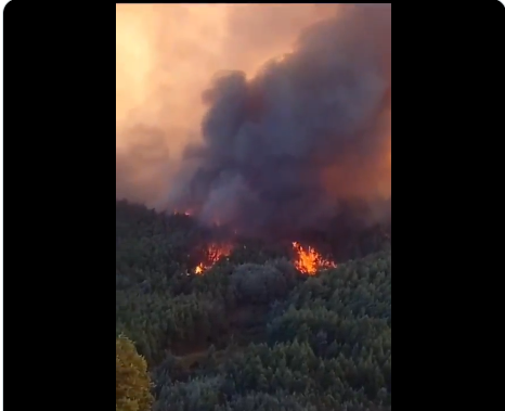 Opera Captura de pantalla_2025-02-25_135006_x.com