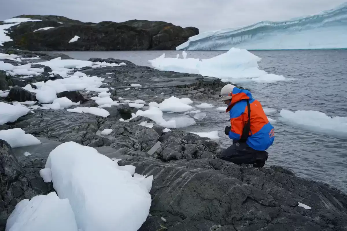 Universidades e instituciones científicas impulsan alianza para fortalecer temática antártica en educación superior