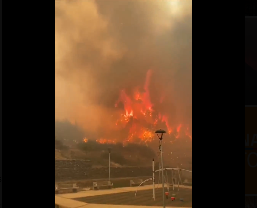 Opera Captura de pantalla_2025-03-23_214859_x.com