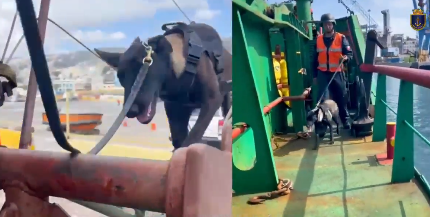 Opera Captura de pantalla_2025-04-09_171211_x.com