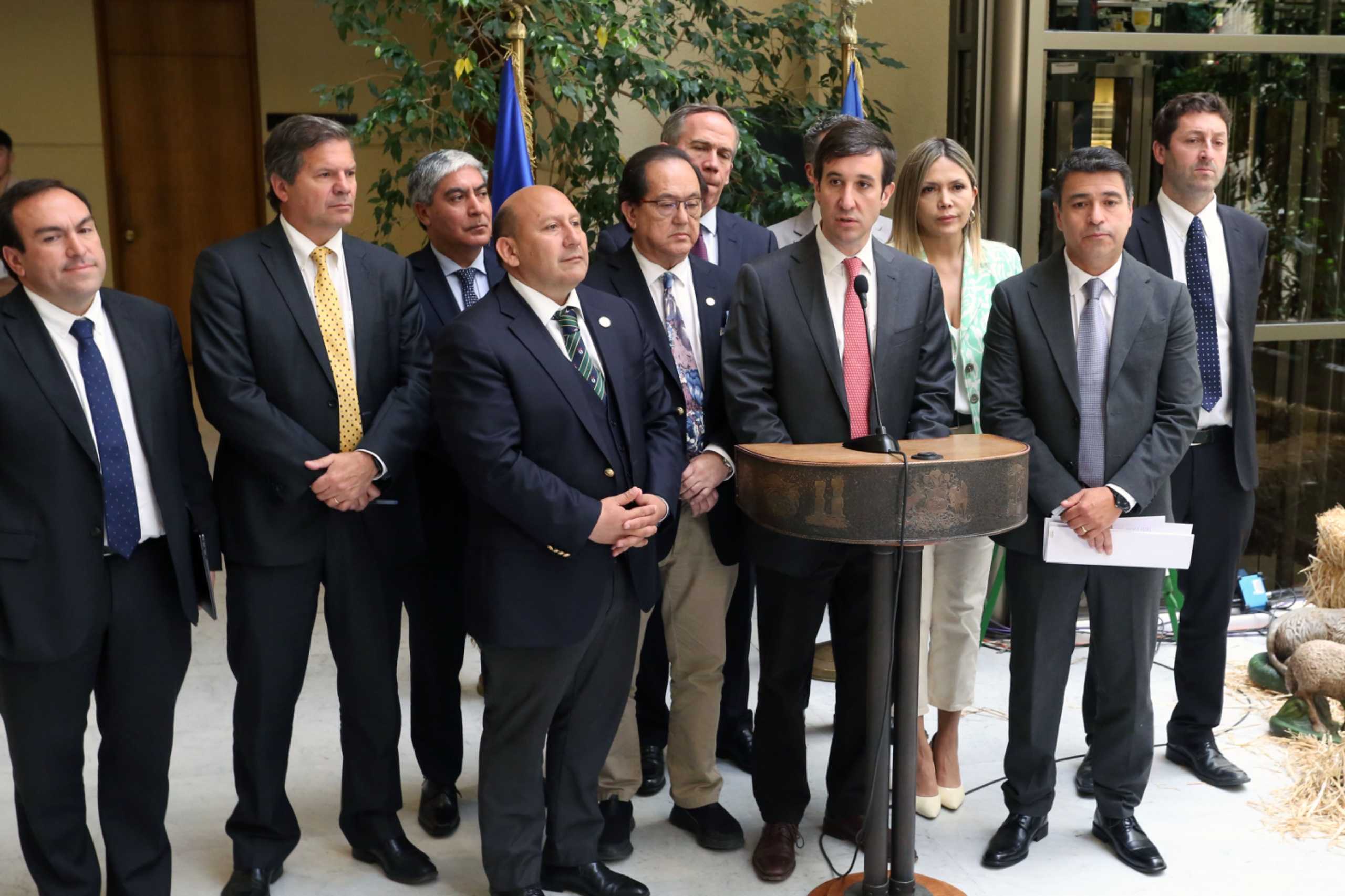 WhatsApp Image 2025-04-24 at 13.19.31