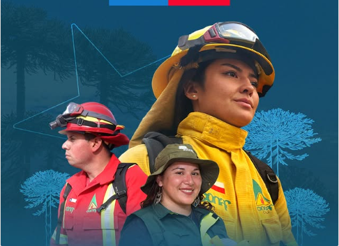 Opera Captura de pantalla_2025-05-06_150310_minagri.gob.cl