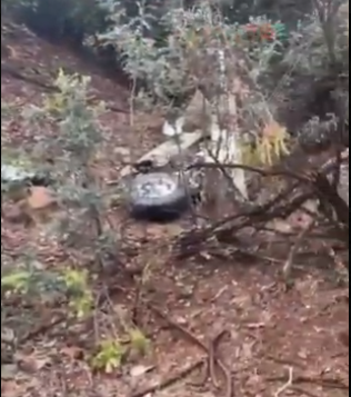 Opera Captura de pantalla_2025-05-09_144730_x.com