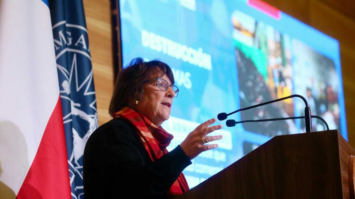 Cuenta Publica Ministra de Defensa Adriana Delpiano Punta Arenas 24-07-2025