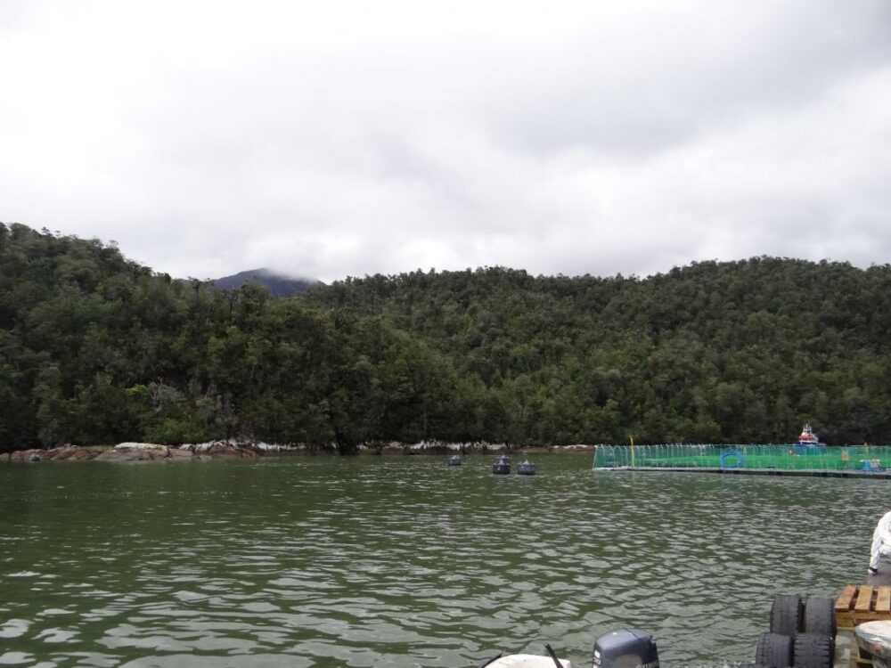 WhatsApp-Image-2025-08-22-at-3.15.02-PM-1200x900