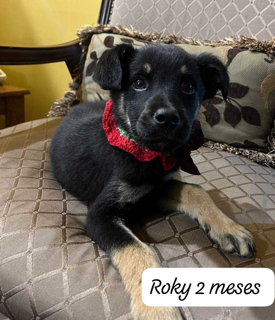 WhatsApp Image 2025-09-24 at 4.43.06 PM (1)