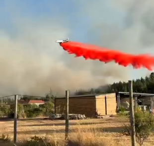 Opera Captura de pantalla_2025-12-25_115601_x.com