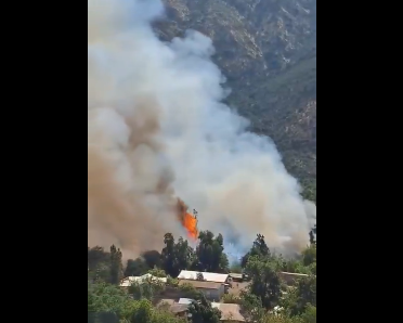 Opera Captura de pantalla_2026-01-12_185251_x.com