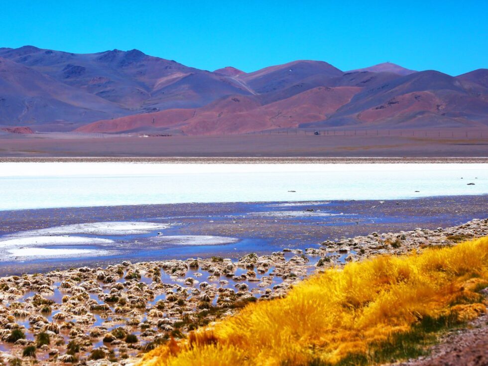 Salar-de-Maricunga