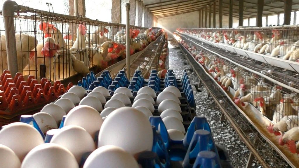 32941683211_31e6855568_b