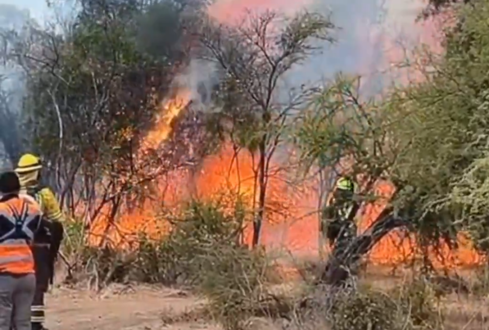 Captura de pantalla 2026-02-21 135110