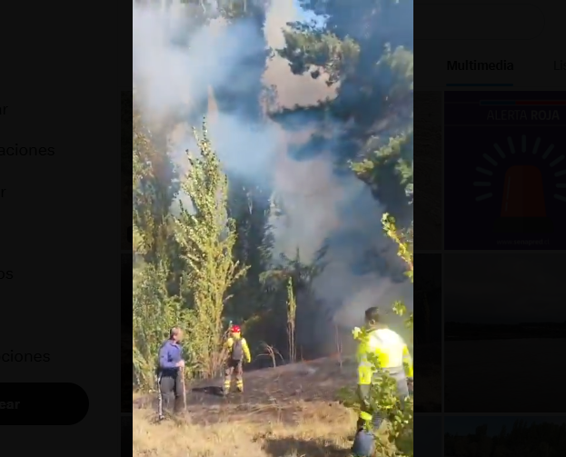 Opera Captura de pantalla_2026-02-16_185402_x.com