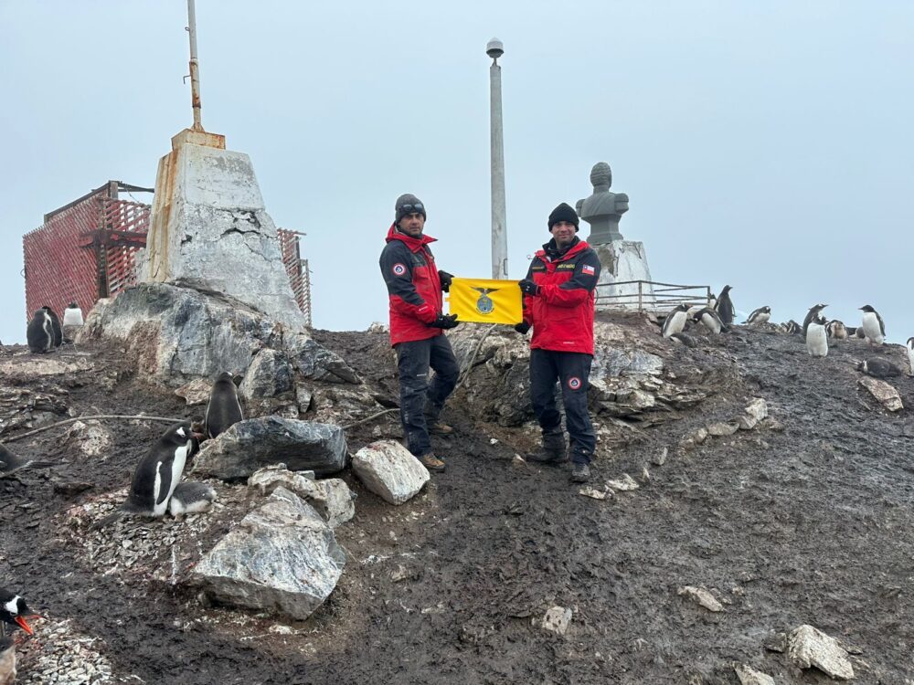 WhatsApp Image 2026-02-12 at 12.13.11