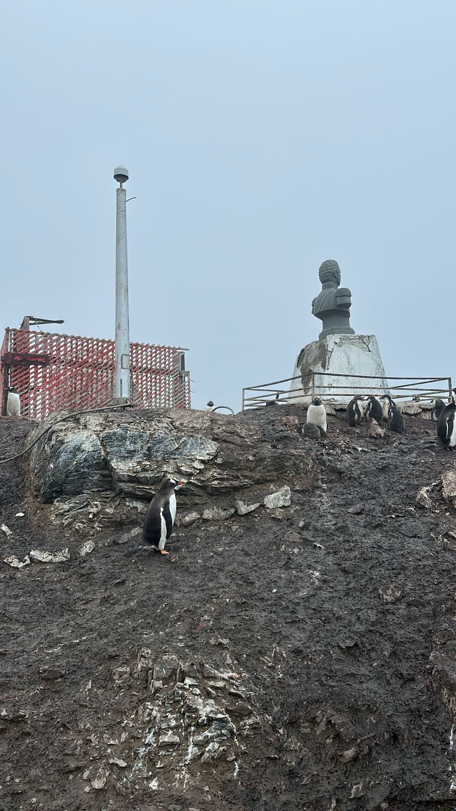 WhatsApp Image 2026-02-12 at 12.13.12 (1)