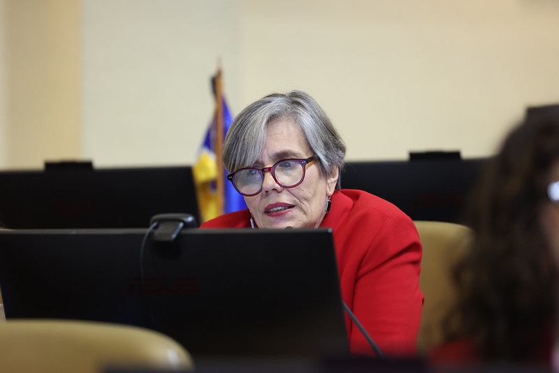 Diputada Fries dice que recortes del Gobierno buscan “reducir el Estado”