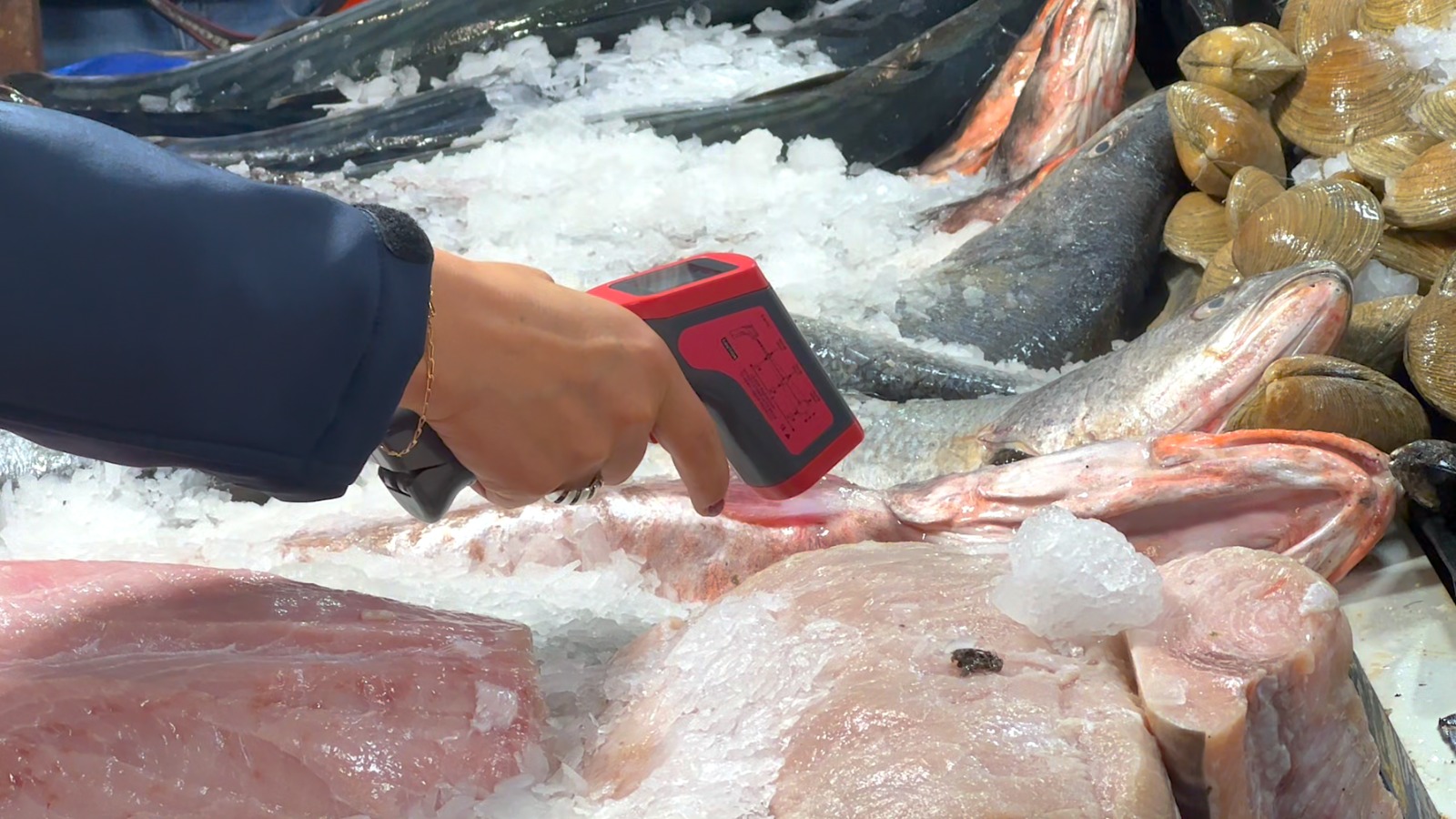 Continúa la fiscalización a pescados y mariscos por Semana Santa
