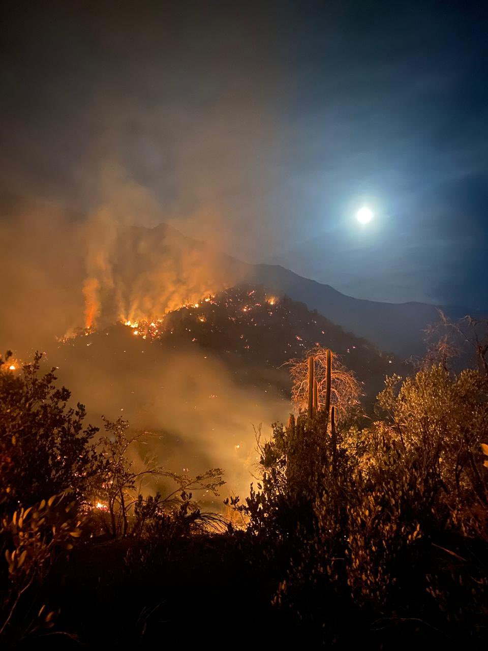 Continúa el monitoreo por incendio forestal en San José de Maipo
