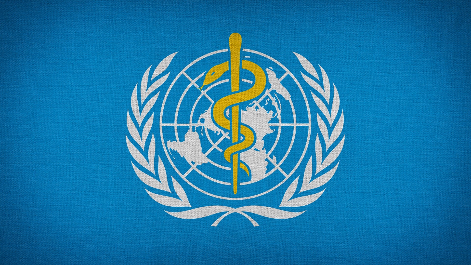 Conoce qué es el ÉBOLA y porqué la OMS declaró "emergencia de salud pública de importancia internacional”