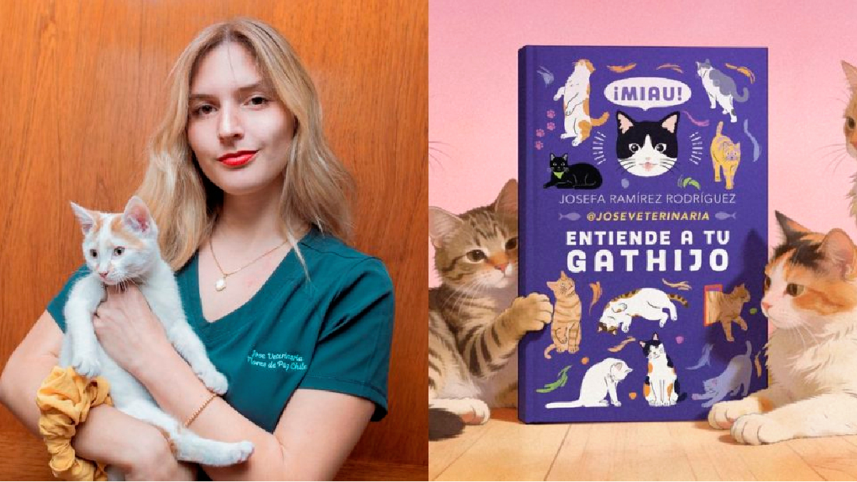 En el mes de los gatos: Entiende a tu gathijo, la guía definitiva para comprender el mundo emocional de los felinos