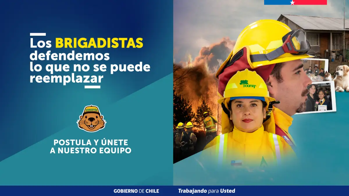 CONAF abre 3 mil cupos para ser Brigadista Forestal