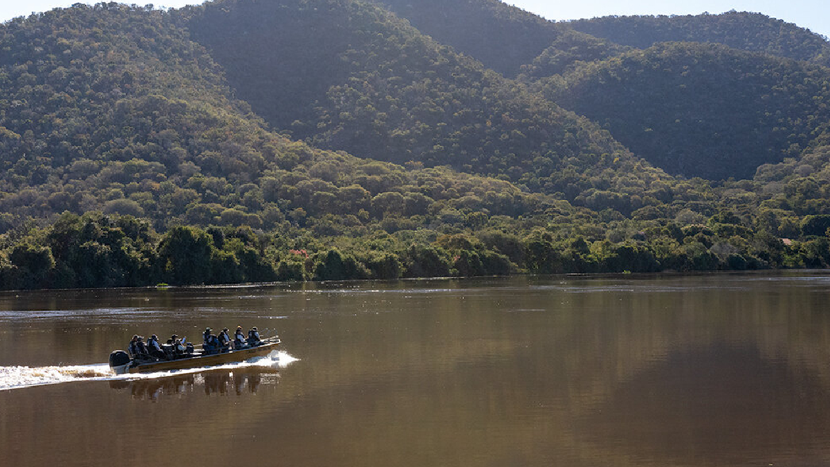 Safari entre jaguares, travesías por bosques, ríos y paisajes únicos: los secretos del Pantanal brasileño se abren al mundo