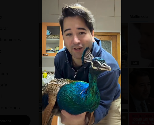Diputado Bassa pide al SAG fiscalizar a Javier Olivares tras video en que corta alas a pavo real