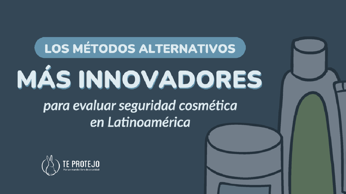 Conoce los métodos innovadores para evaluar seguridad cosmética desarrollados en América Latina