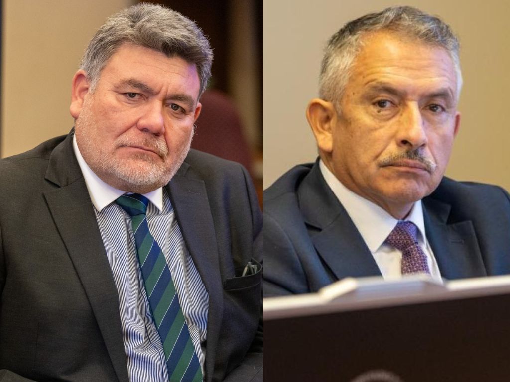 Diputados PS exigen derogación de decreto 457 por Magallanes: “Milei debería traerlo firmado”