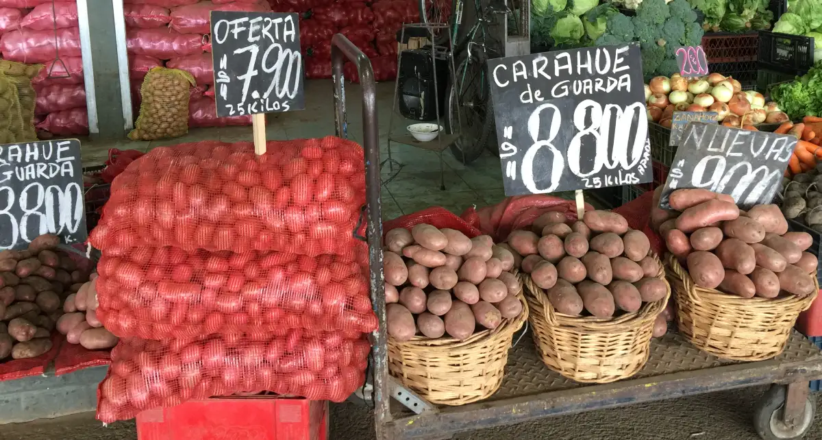 INFLACIÓN GALOPANTE: IPC de agosto +0,6% y anual ya va en 3,6%