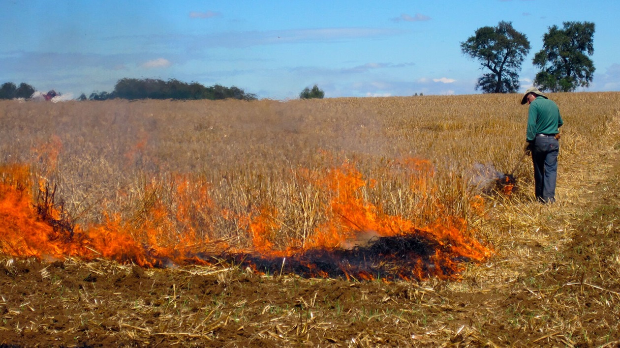 Conaf actualiza situación del uso del fuego como quema controlada