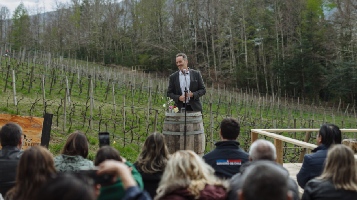 Primer viñedo regado con agua termal en el mundo inaugura su bodega en la región de La Araucanía
