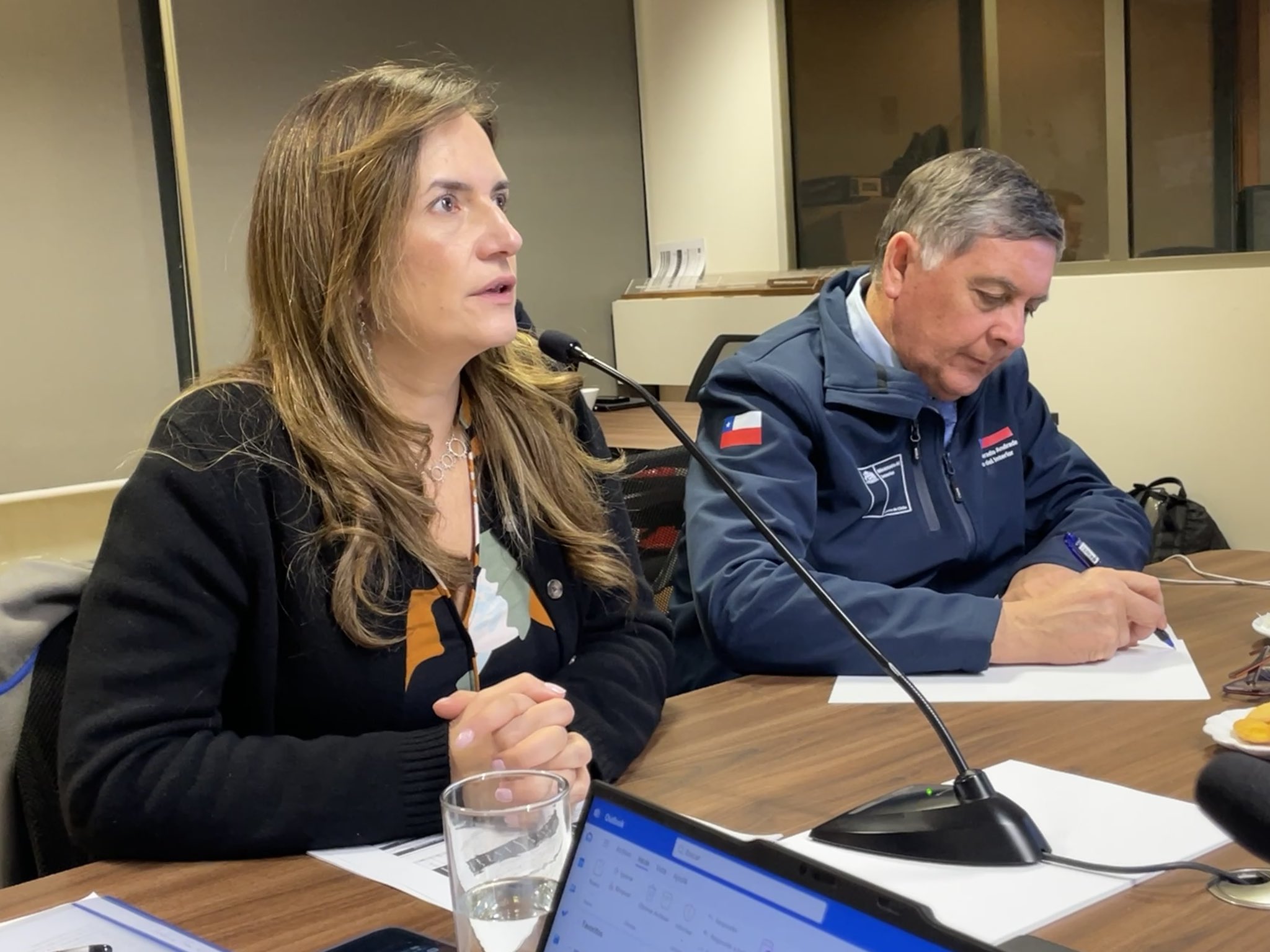 Directora del Senapred dice que radares ayudan a identificar este tipo de eventos, pero no soluciona el impacto que producen
