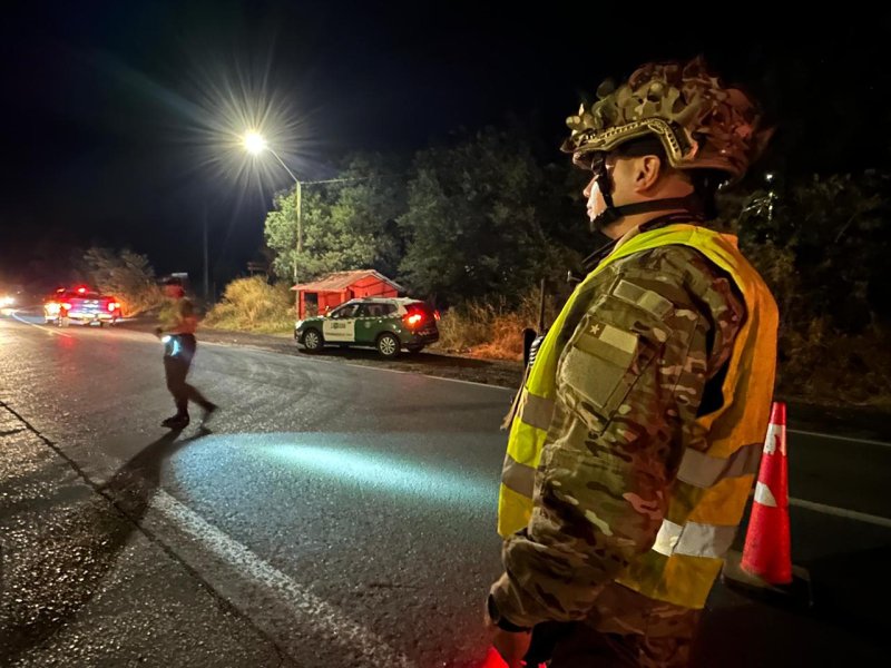 Squella dice nuevo proyecto de seguridad no contempla un nuevo estado de excepción