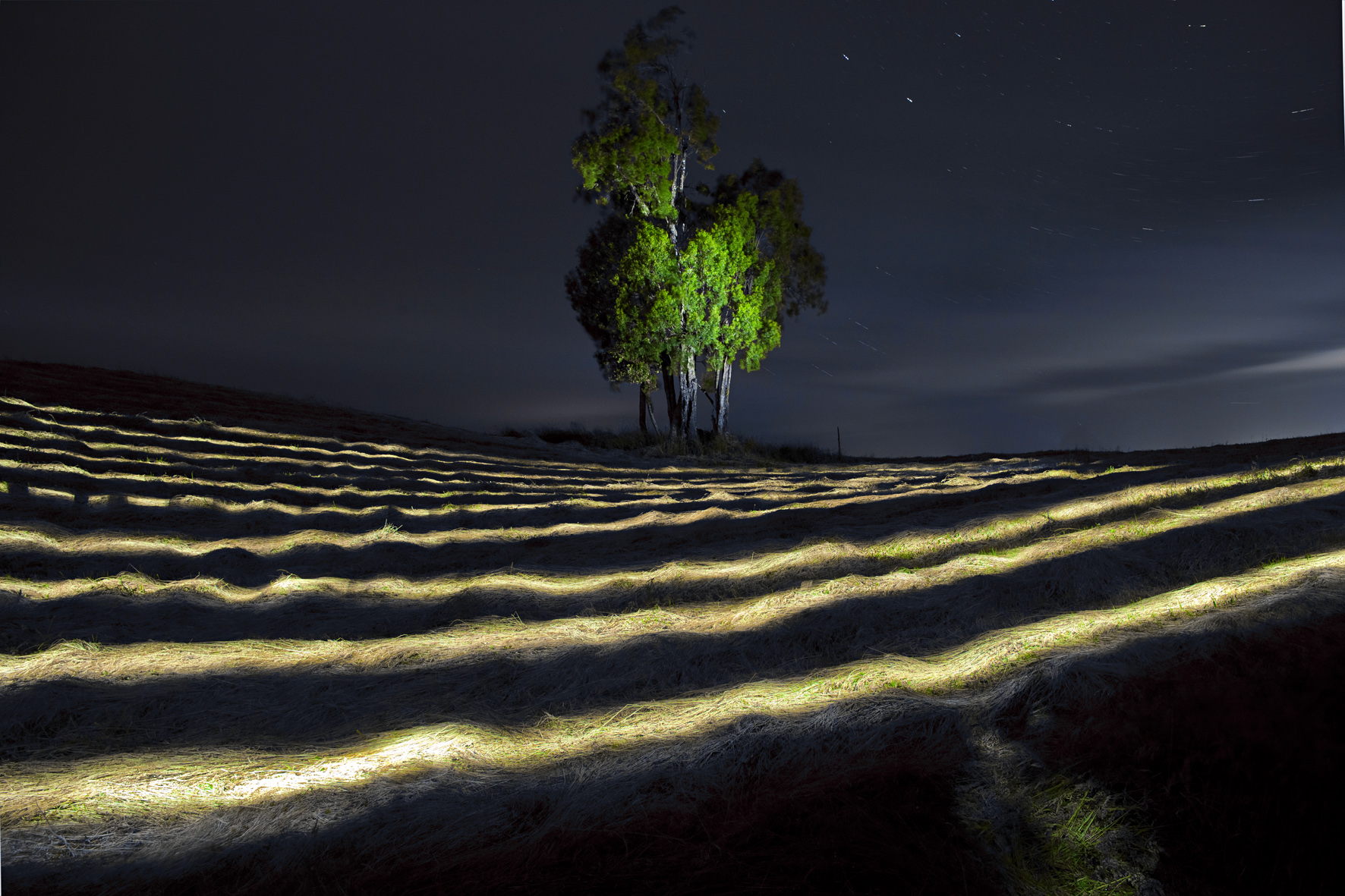 Exposición Fotográfica: Sorpresivos paisajes nocturnos en el MAC