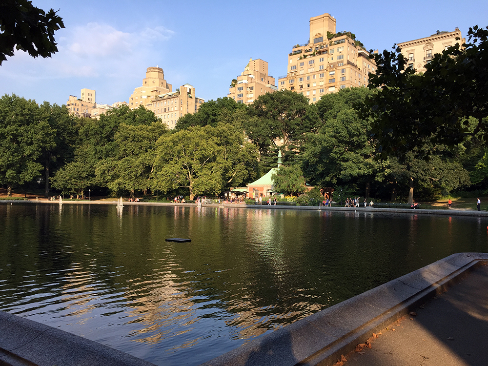 Recorriendo Central Park a pie