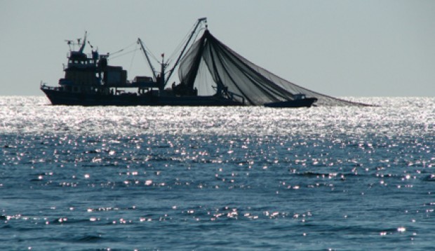 Emplazan a Sernapesca para dar nombres de seis industrias pesqueras investigadas