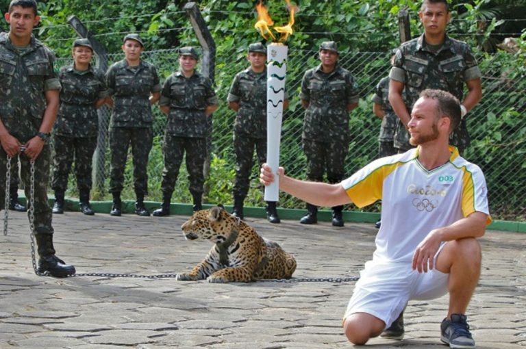 En Brasil sacrifican un jaguar en la previa de los Juegos Olímpicos de Rio 2016