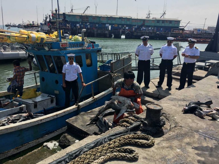 Arica: Armada detiene a pesquero peruano en aguas chilenas con 5 toneladas de tiburón