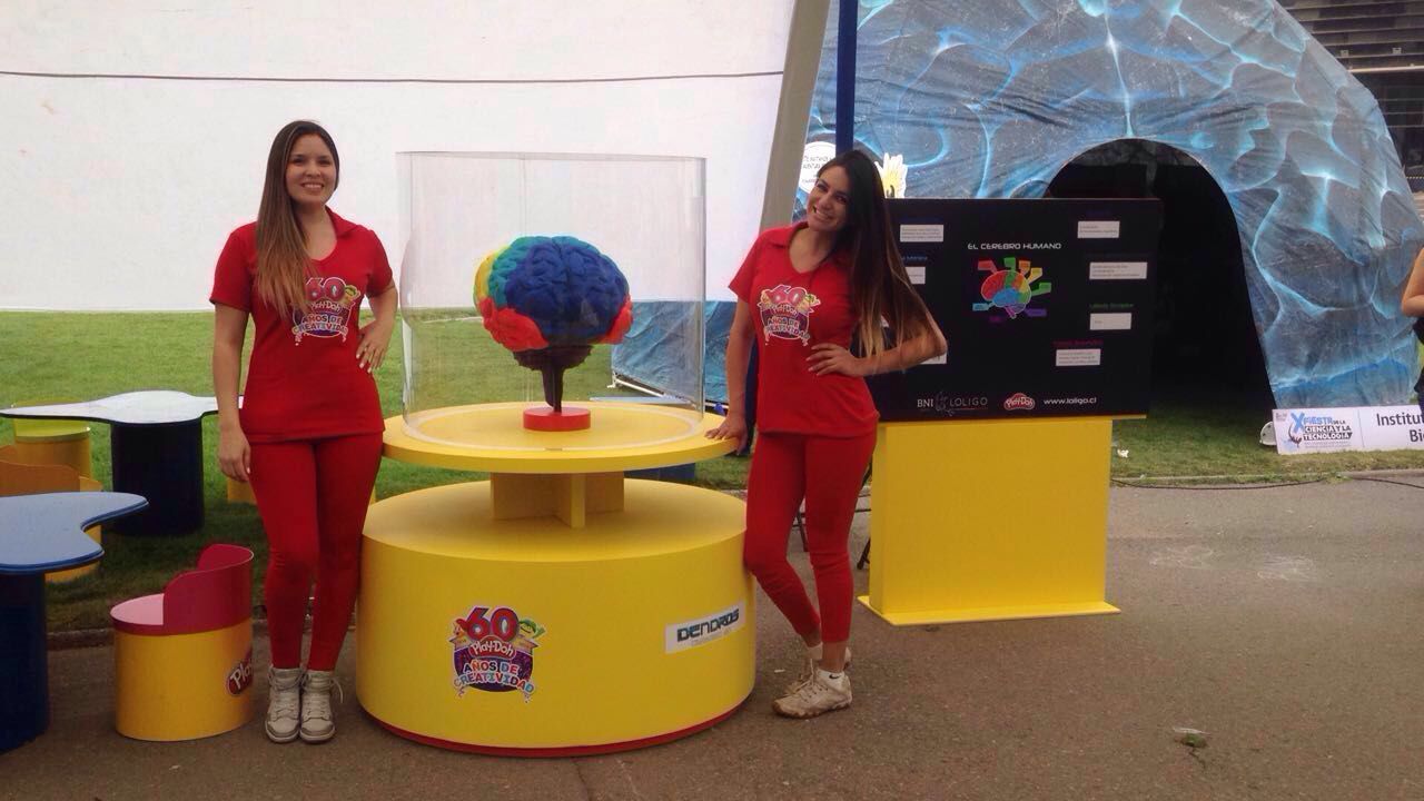 Cerebro de masita Play Doh